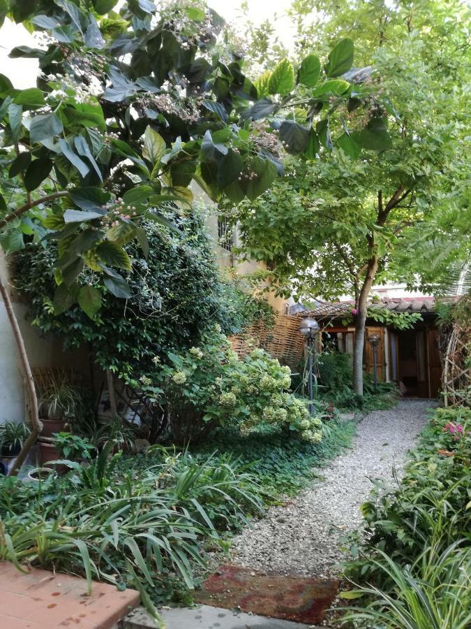Affittacamere Casa Corsi Florens Exteriör bild